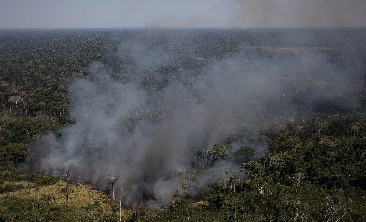Rondônia registra pior julho em focos de queimadas em quase 20 anos, diz Inpe