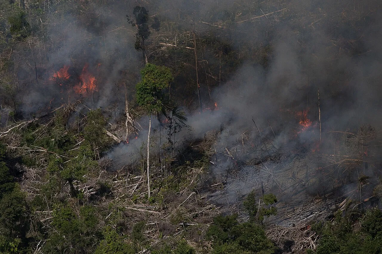 Operação destrói serrarias móveis em terra indígena de Rondônia
